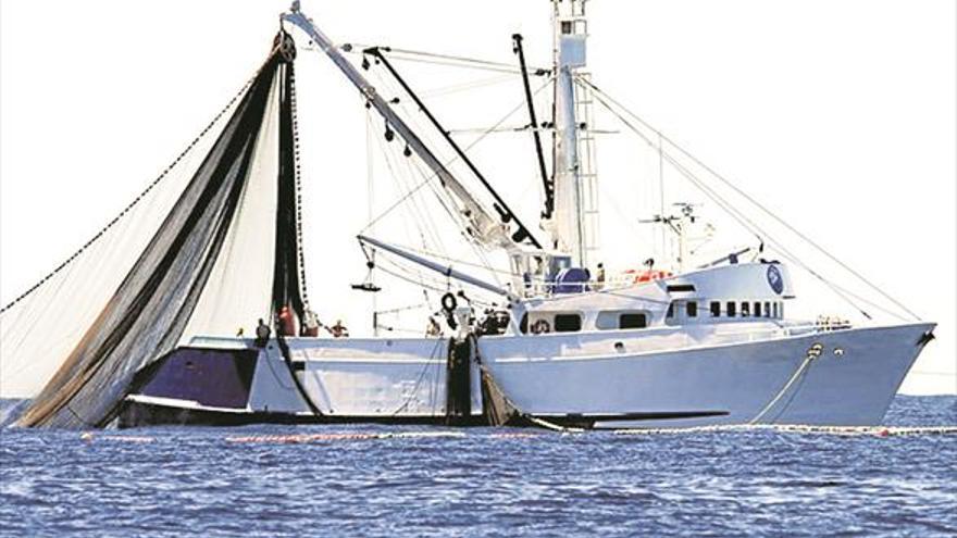 El sector pesquer vol retirar 200 tones de residus del mar cada any