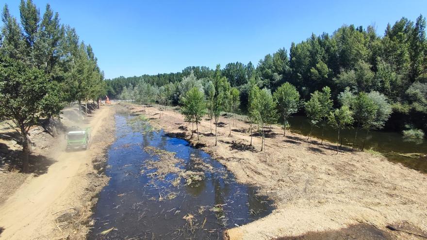 El antes y el después de la limpieza del Órbigo en Santa Cristina de la Polvorosa