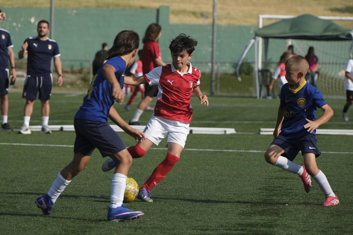 Imatges de la TEA Football Cup 2026 de Sant Fruitós