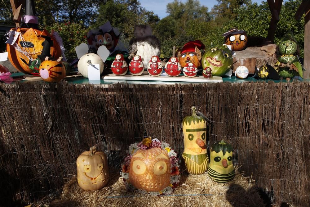 Calabazas y calaveras en el Botánico