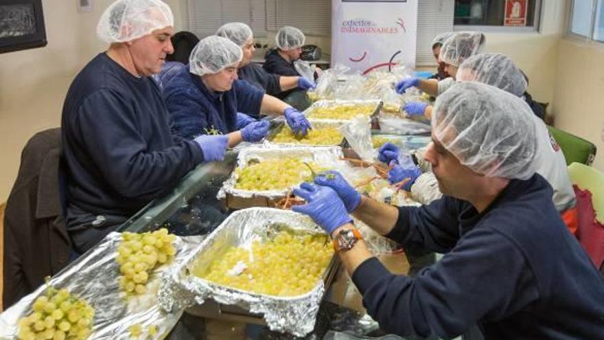 Los jóvenes de la asociación pro discapacitados psíquicos en plena faena eligiendo las uvas.