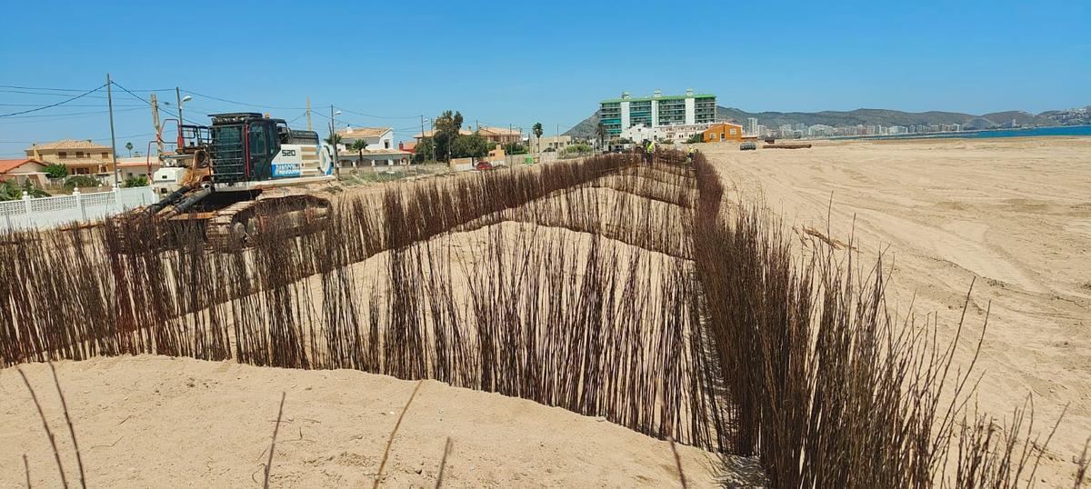 Nueva imagen de las playas del litoral sur de Cullera, con la reconstrucción de las dunas y un arenal mucho más amplio.