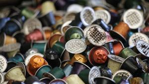 L’Eurocambra recolza limitar les importacions de productes que contribueixin a la desforestació