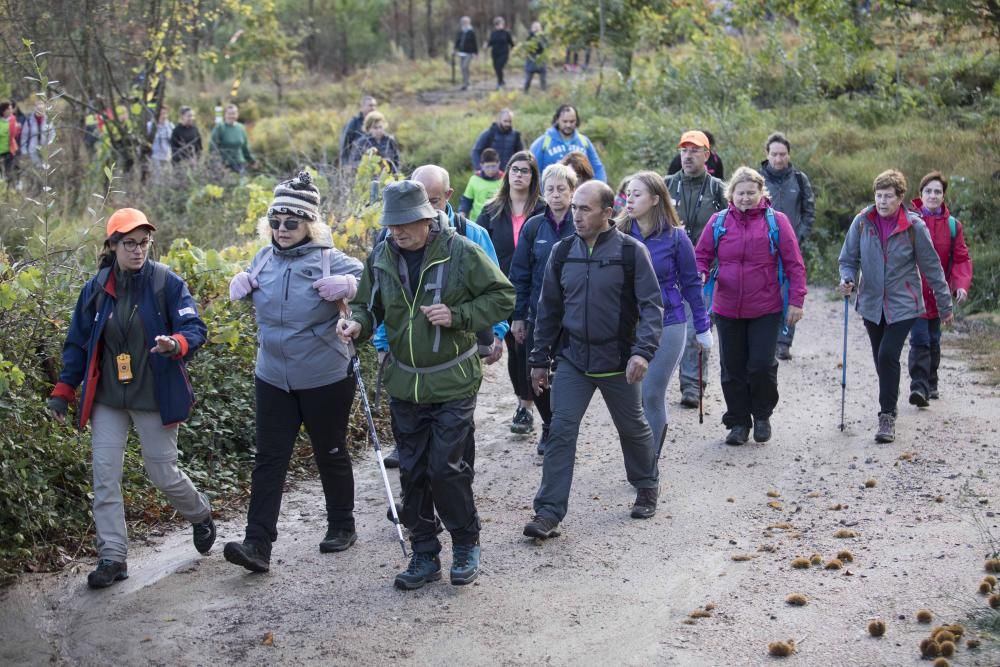 Más de medio millar de personas se citaron esta mañana en Coruxo para recorrer la zona quemada en octubre de 2017.