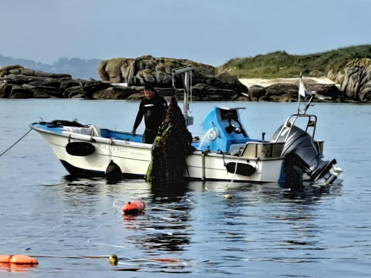 La limpieza submarina de los fondos del islote Areoso. La limpieza submarina de los fondos del islote Areoso.