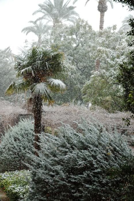 Nieve en Vistabella