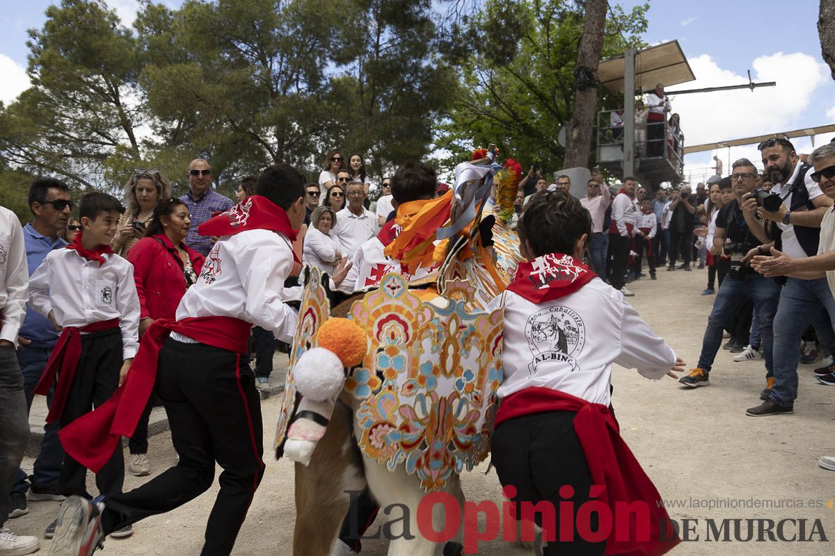 Fiestas de Caravaca | Desfile infantil del Bando de los Caballos del Vino