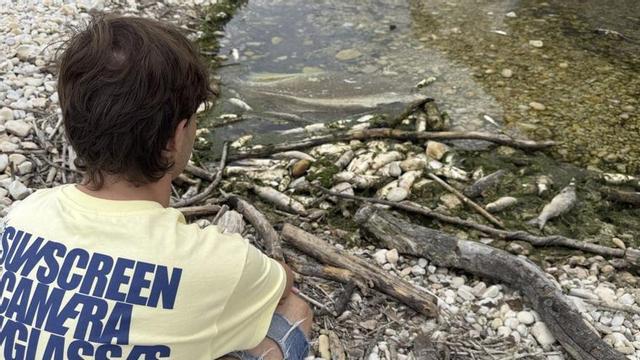 Un joven observa peces muertos en el tramo final del río Bedón.