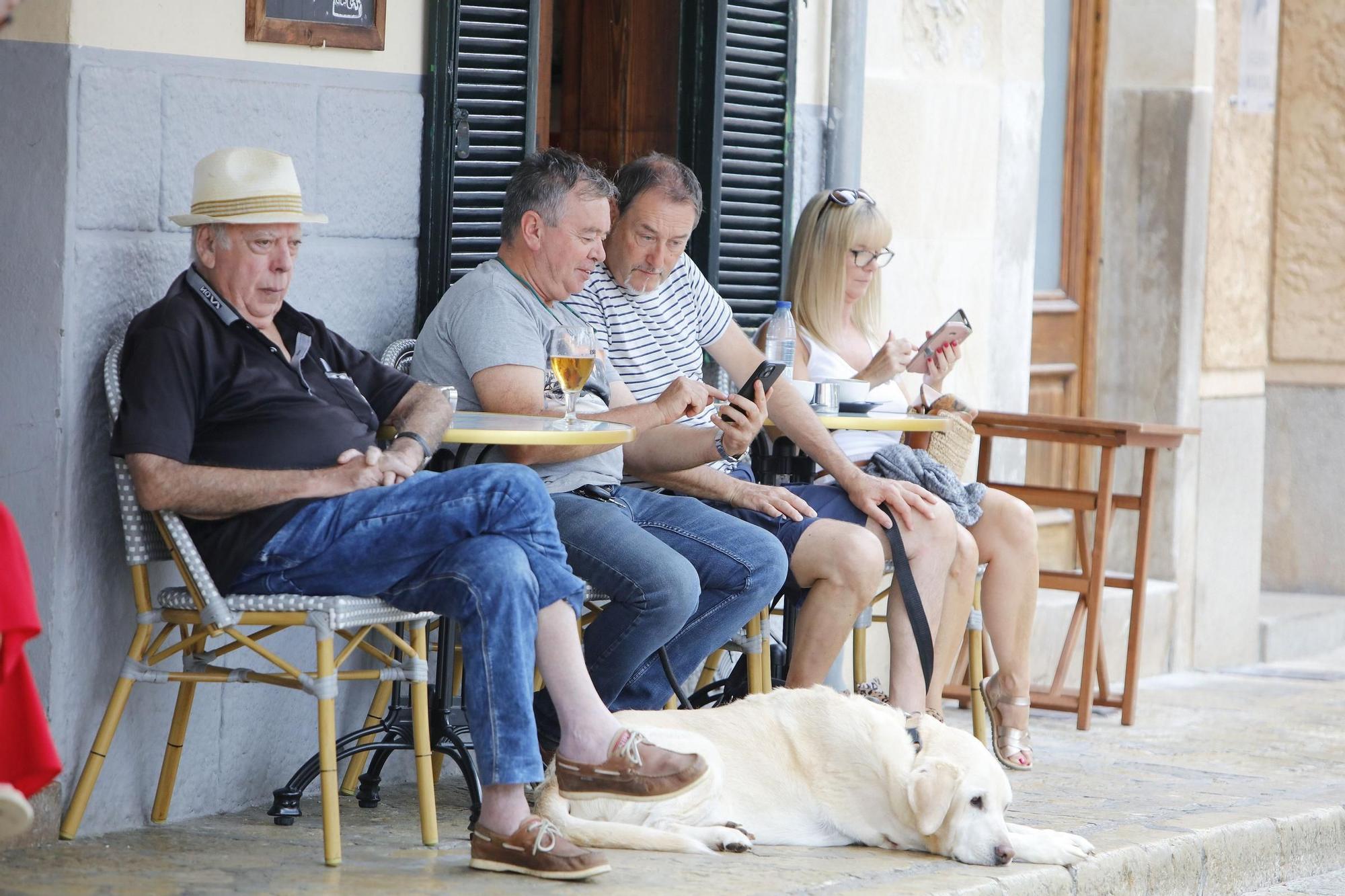 Auch bei Regen auf Mallorca einen Besuch wert: Pollença ist Mitte September voller Leben