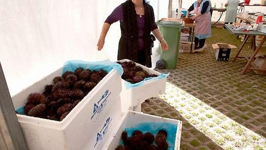 Esther García, ayer, con los preparativos del certamen.