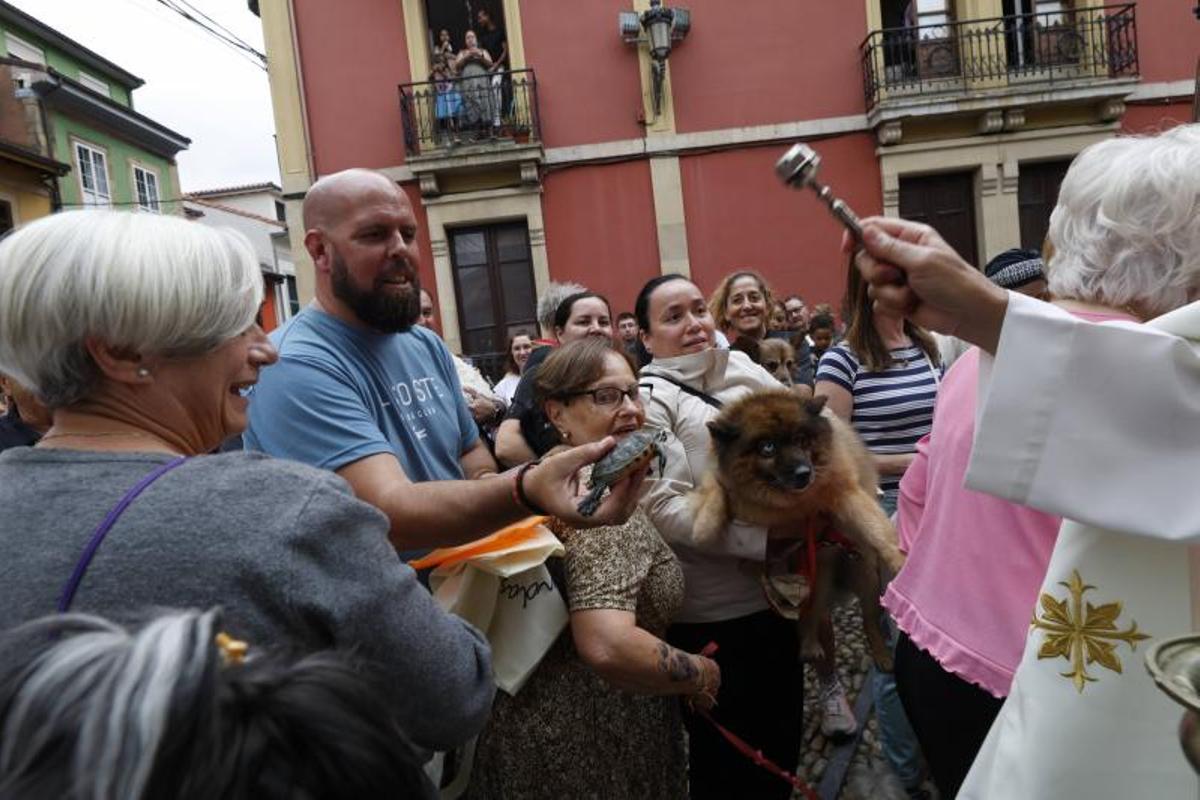 EN IMÁGENES: la bendición de San Roque a las mascotas en El Carbayedo, en Avilés