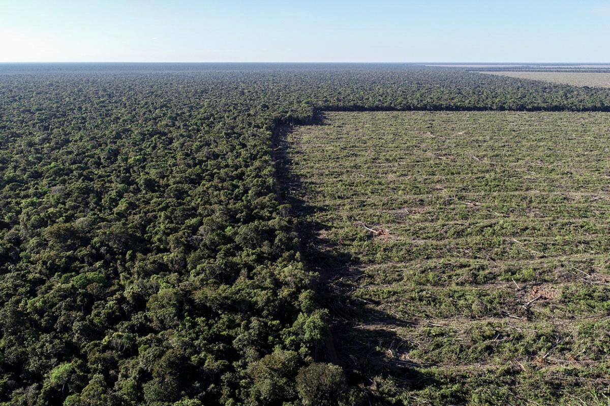 Deforestación en Brasil