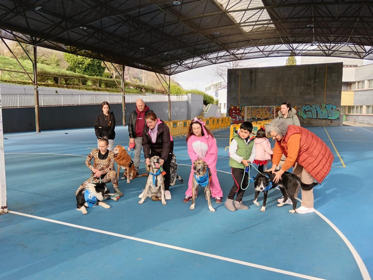 El desfile de mascotas de Grado, en imágenes