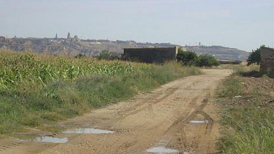 Estado que presentan algunos caminos agrícolas del término.