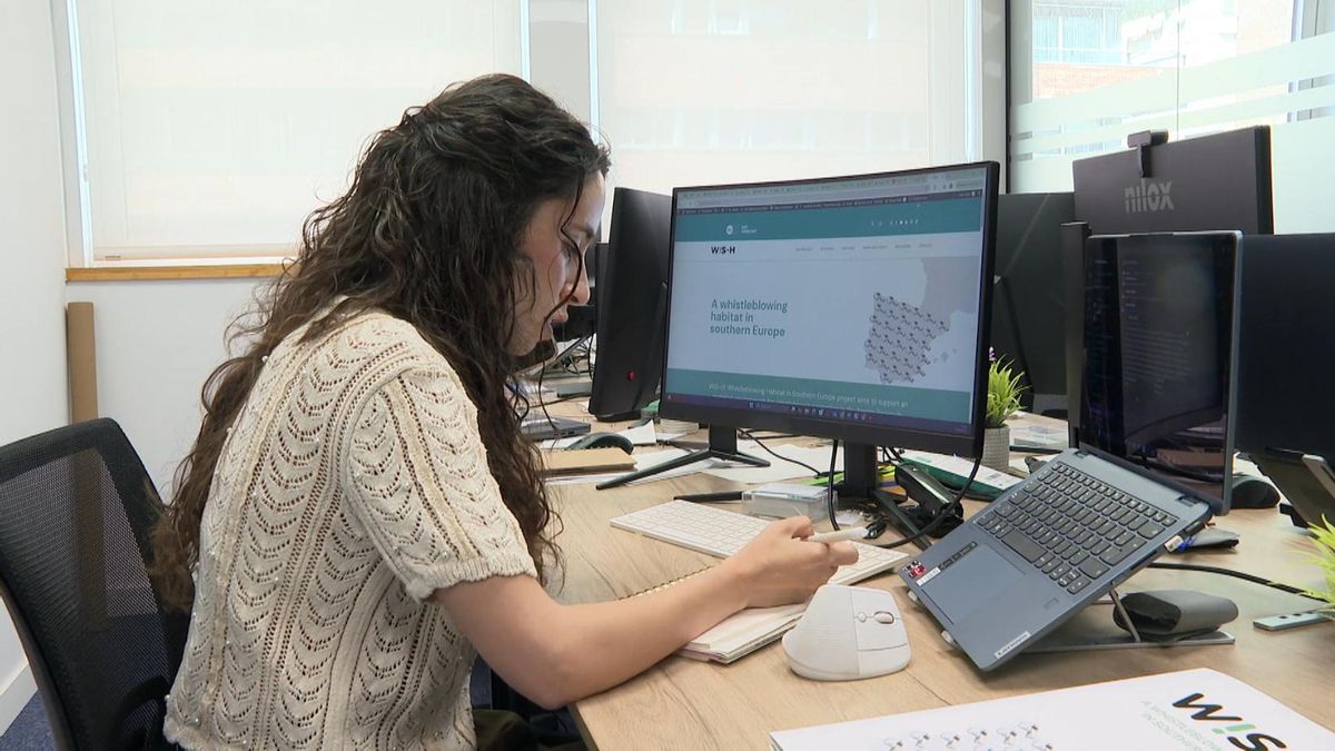 Los expertos alertan: "La pregunta es cuántos Koldos hay en el sistema"