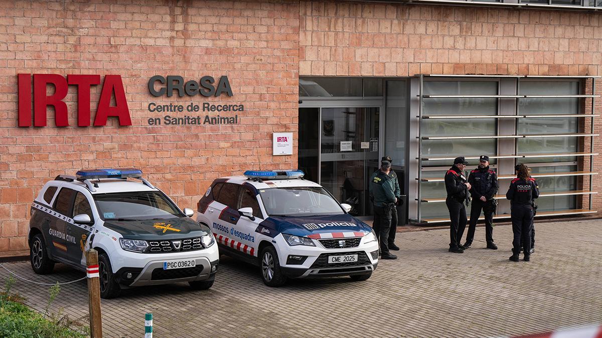 Mossos y Guardia Civil registran la sede del IRTA-CReSA, el laboratorio señalado por la peste porcina.