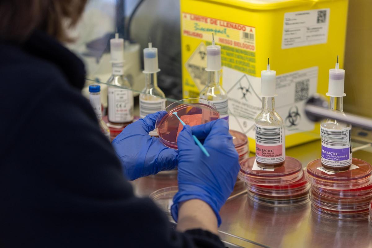 Investigación en virus y bacterias Investigación en virus y bacterias