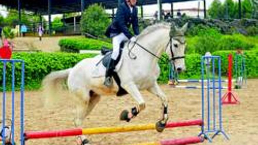 Córdoba celebrará este año tres Campeonatos de Andalucía, dos de ponis y el de alta escuela