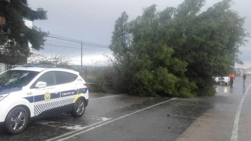 Nuevo aviso por vientos fuertes en el litoral de Castellón