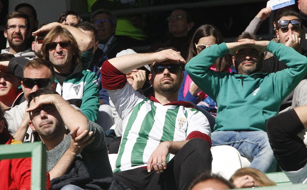 La afición blanquiverde en el Córdoba-Rayo Majadahonda