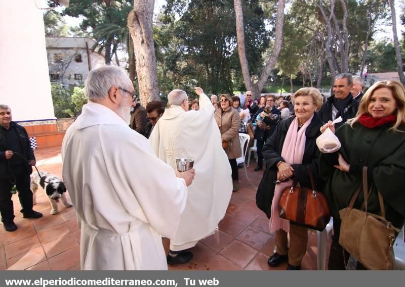 Sant Antoni en Vila-real