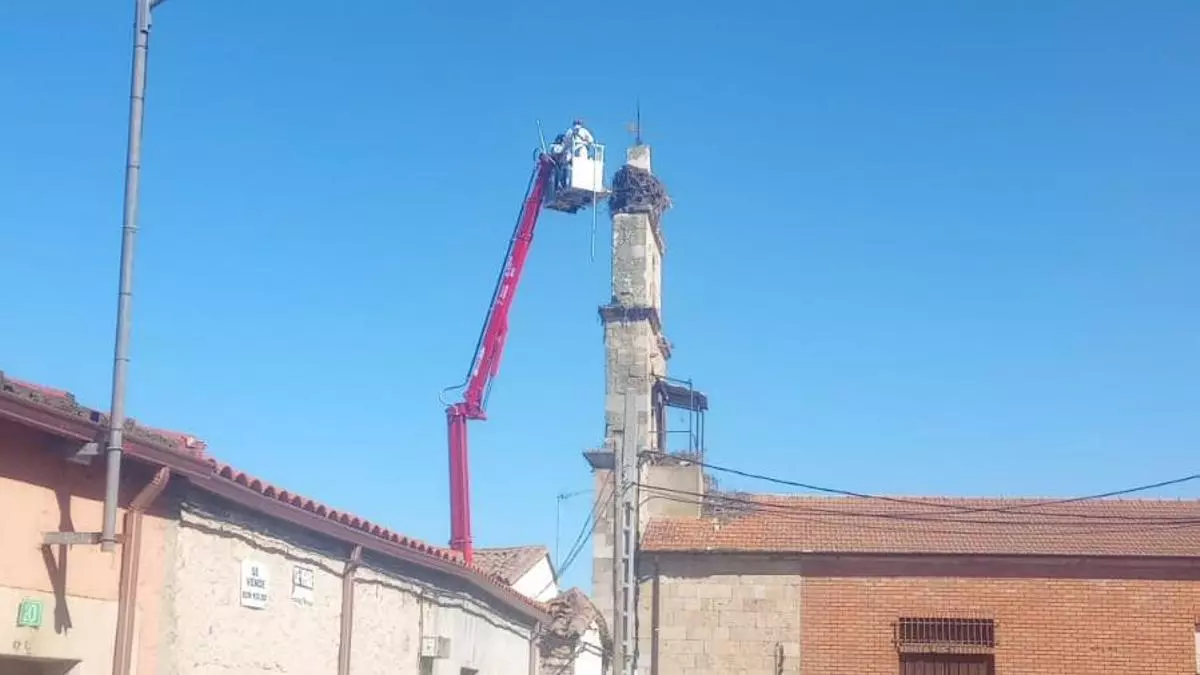 Adiós a las cigüeñas en Villanueva de Campeán