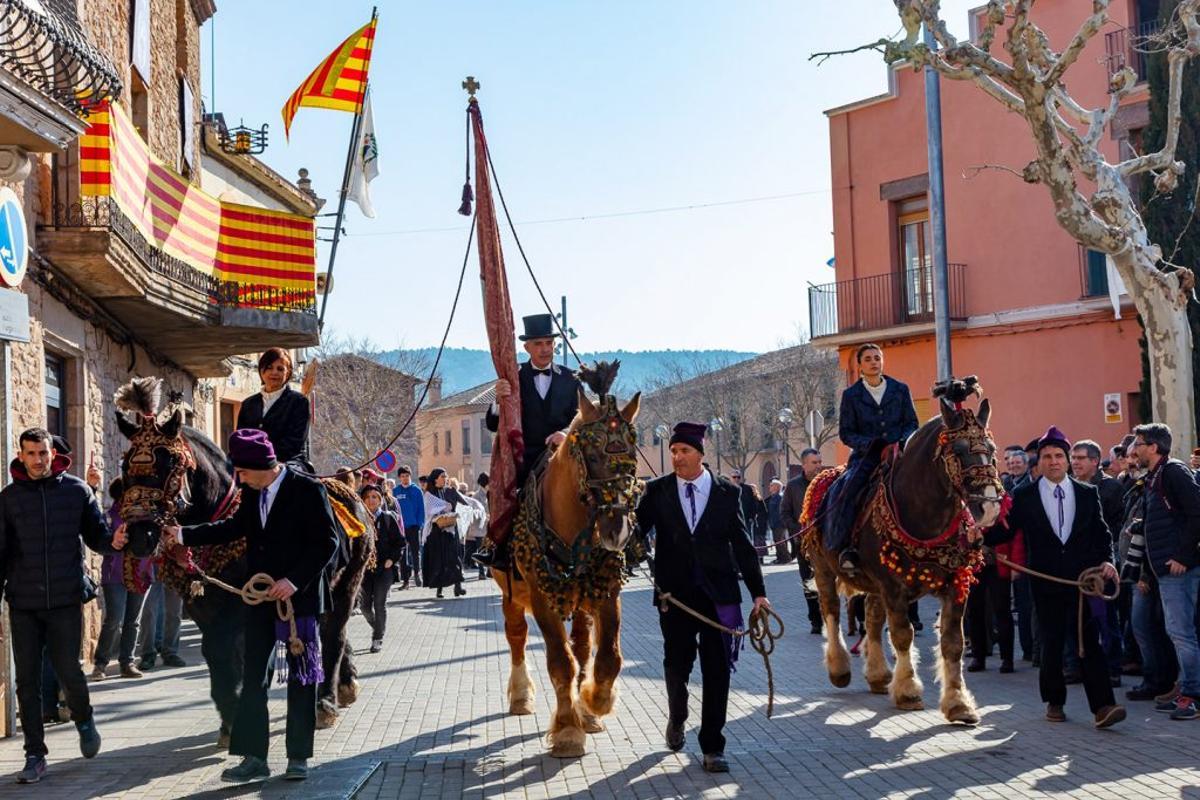 Recordant el vell ofici del transport amb animals