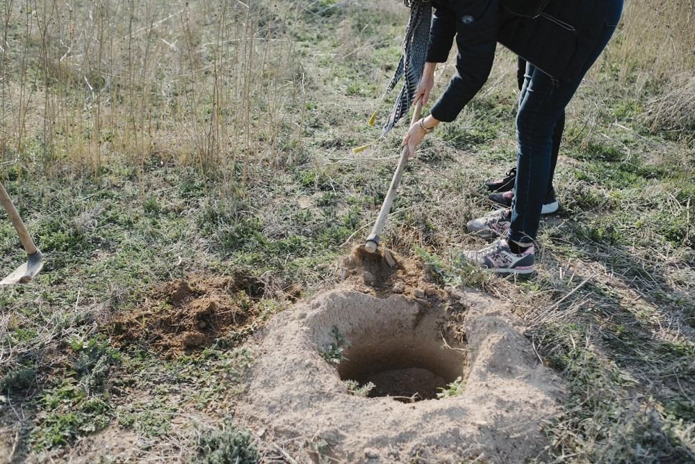 Plantación de especies autóctonas de alumnos del IES Mare Nostrum el día del arbol en el parque natural de las lagunas