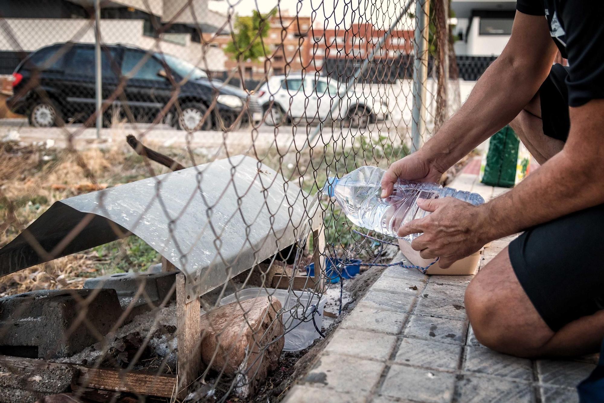 Colección premiada de David Piqueras