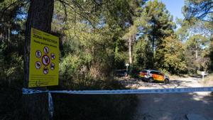 Catalunya eleva a 37 les denúncies per saltar-se les restriccions de la pesta porcina a Collserola