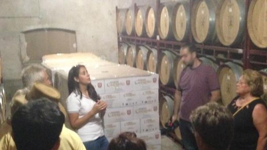 Rutas guiadas por las bodegas y la Escuela del Vino.