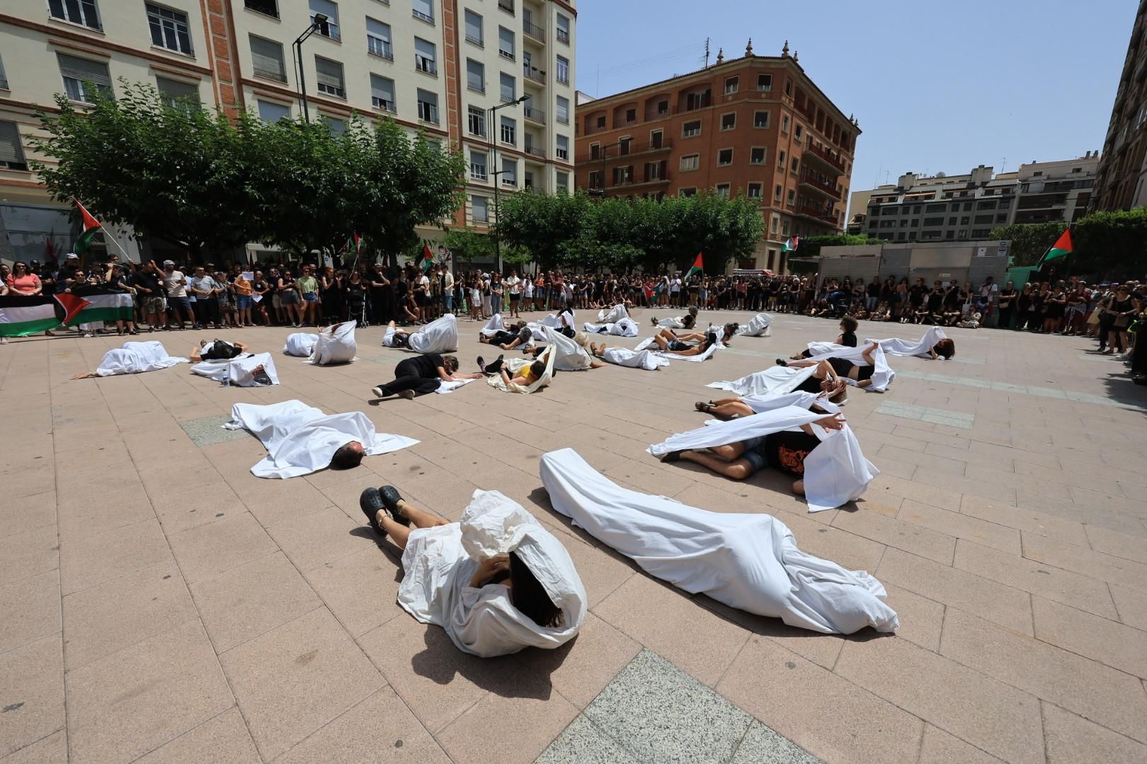 Manifestación a favor del pueblo palestino y la paz en Castellón