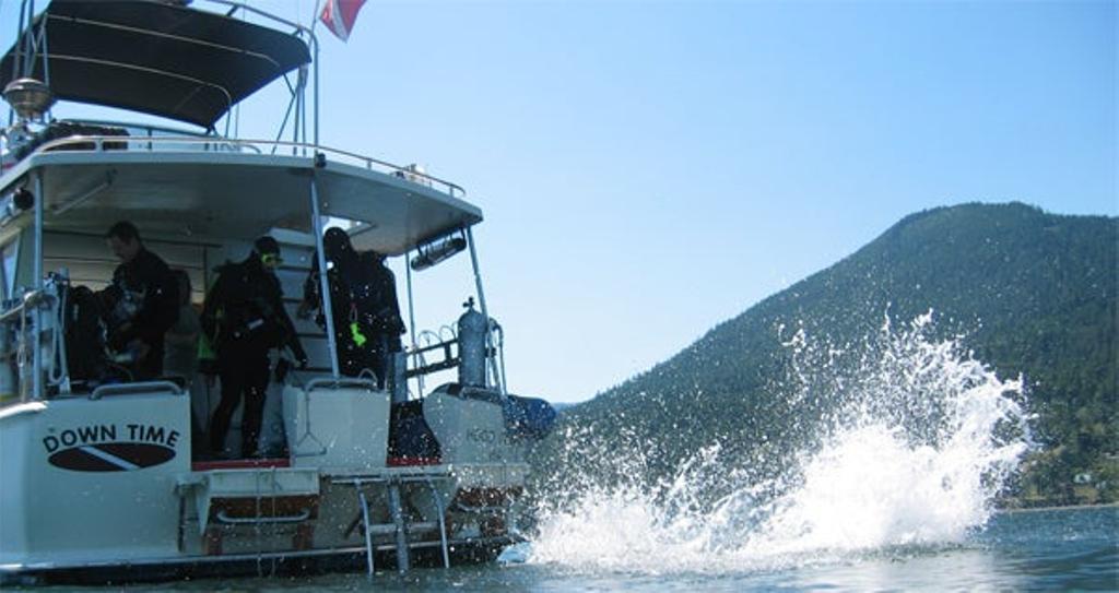 Bucea por todo el mundo con Dahab Travel Buceo