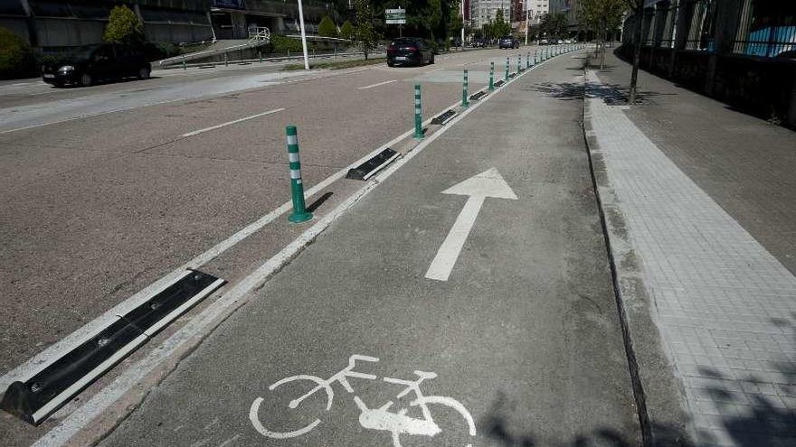 Carril bici entre la Universidad y Pérez Ardá, a su paso por la avenida de Salgado Torres.