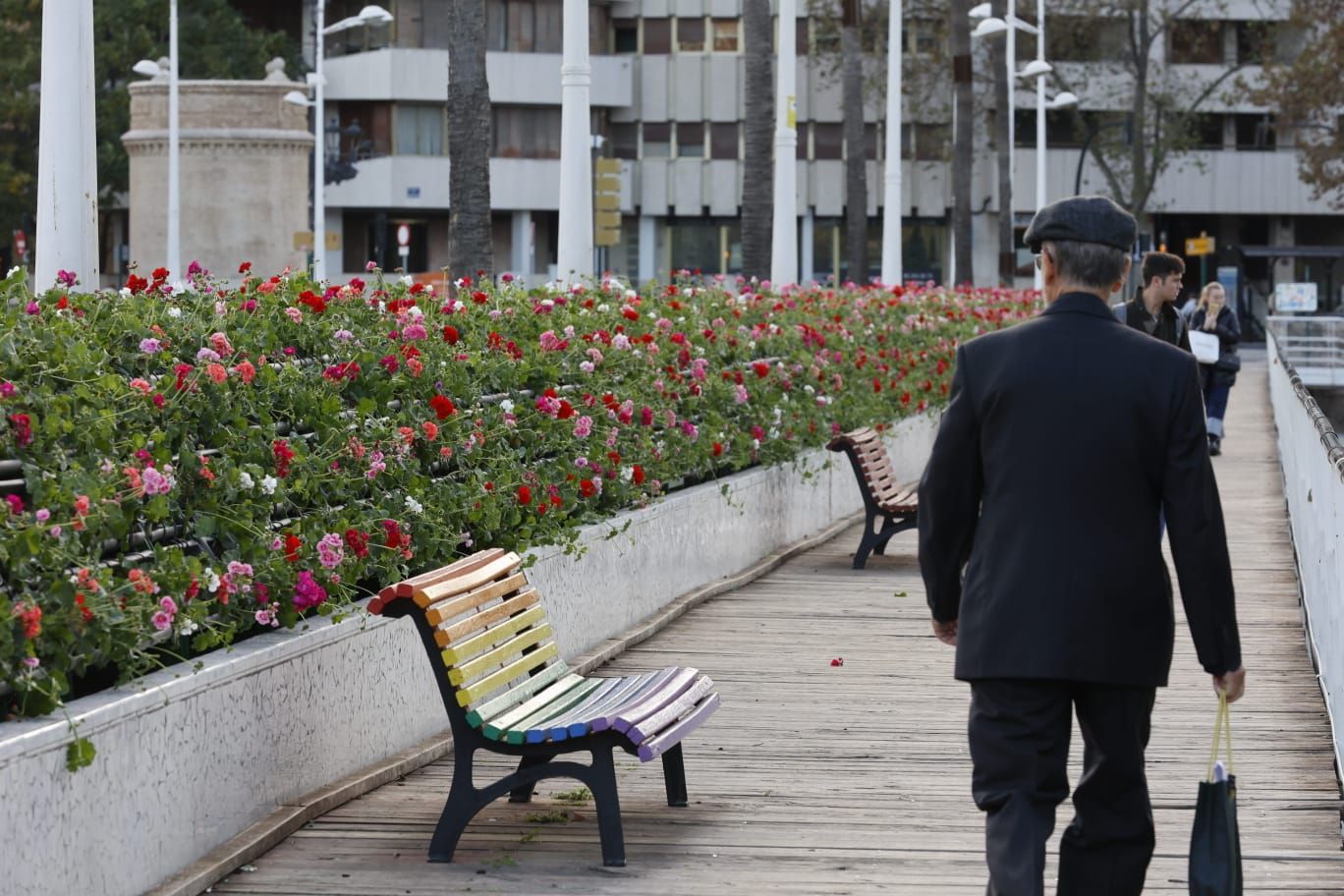 Comienzan a replantar el Puente de las Flores