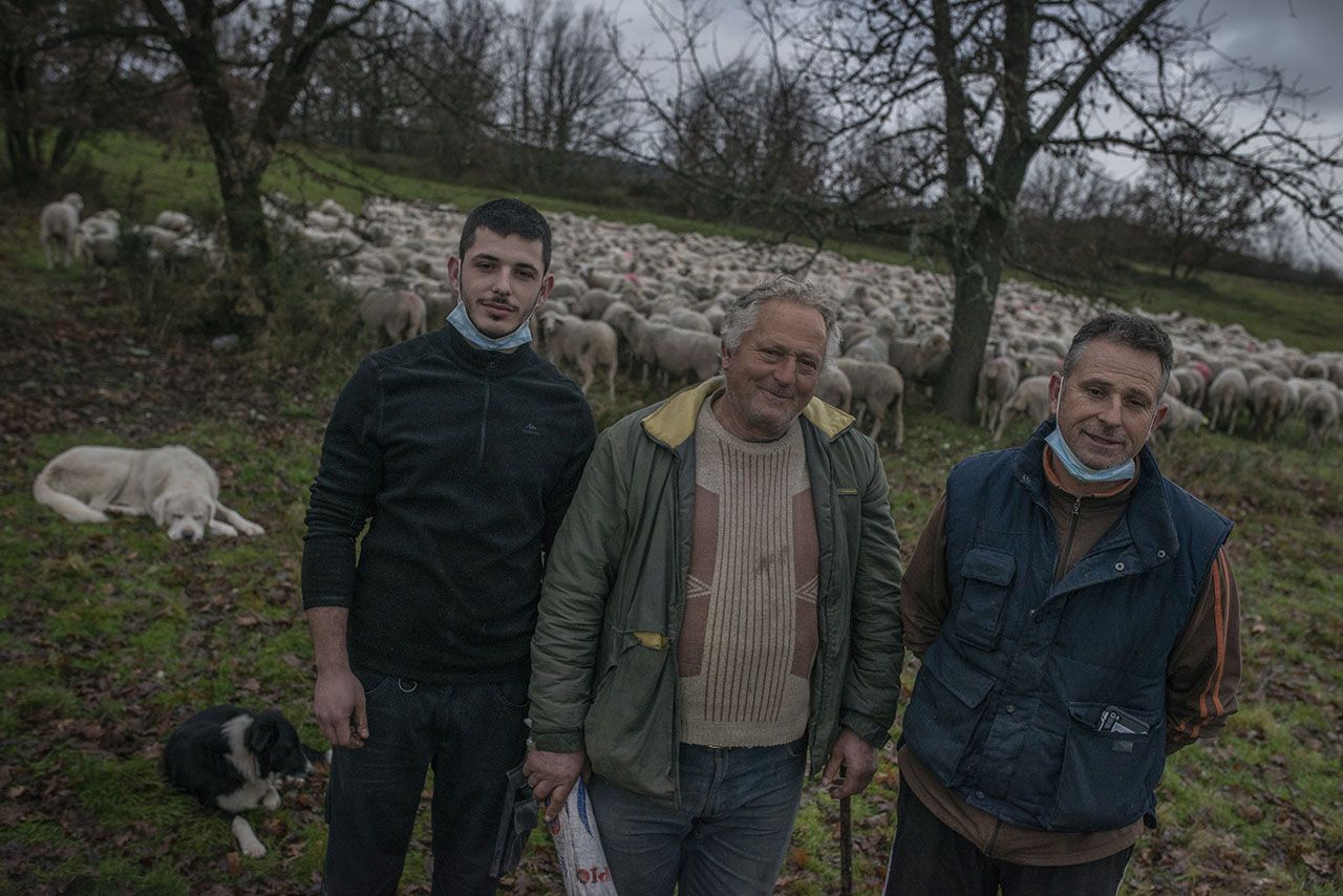 La familia del millar de ovejas a solo diez kilómetros de la ciudad: “¿O futuro? Difícil”