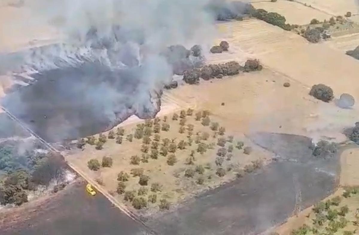 Incendio forestal declarado en Ayerbe (Huesca).