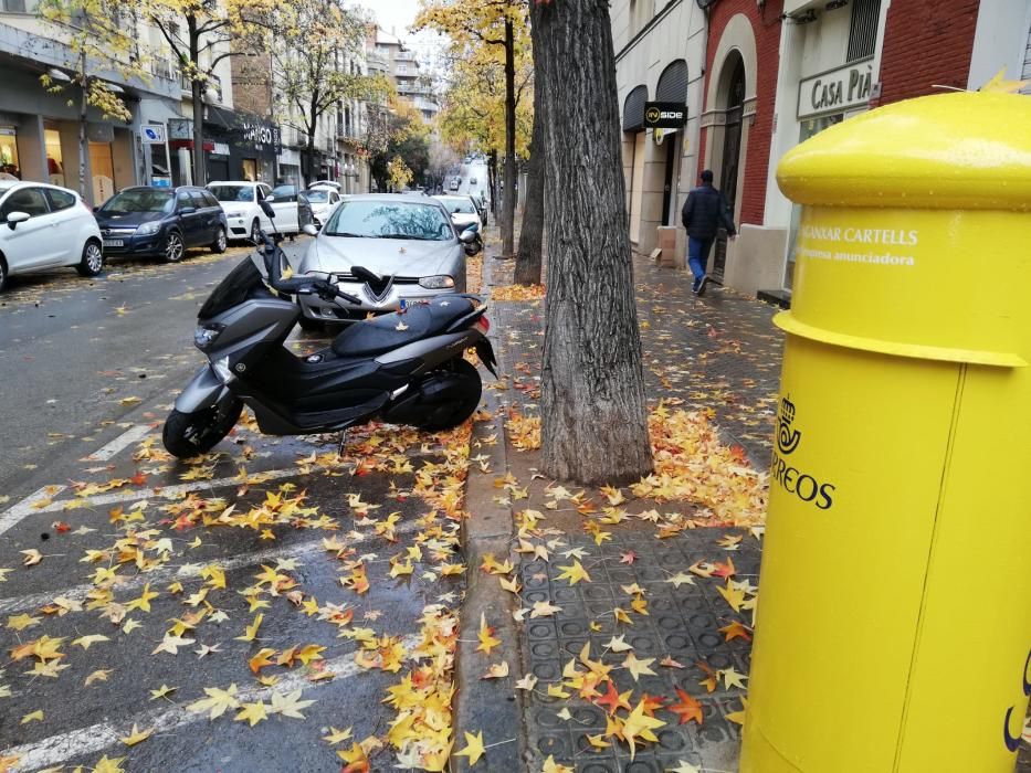 Milers de fulles cobreixen els carrers de Manresa