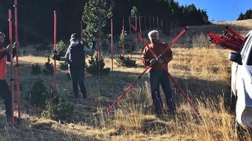 El Club Esquí Solsona planta els pals a la pista del Llop del Port del Comte