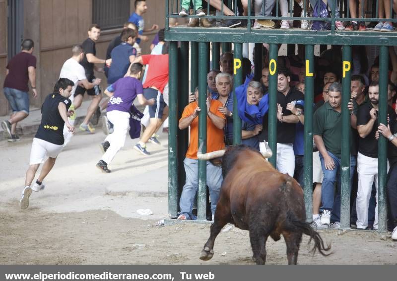 GALERIA DE FOTOS -- Almassora despide unas fiestas con mucho ambiente