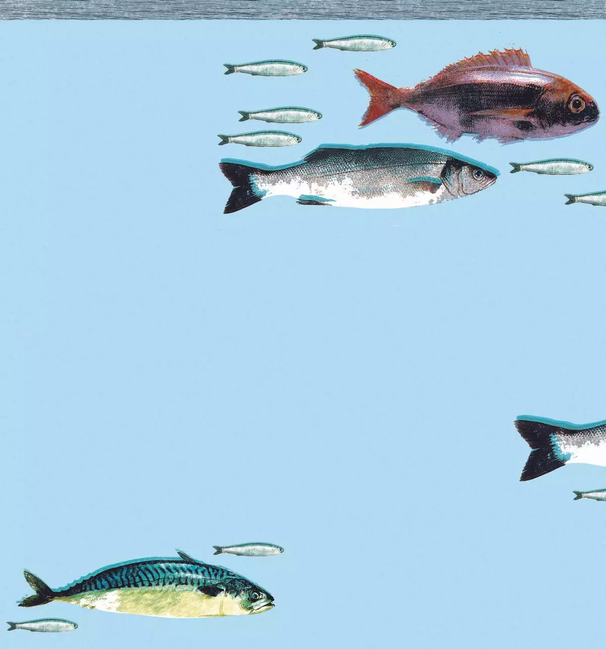 La humilde sardina, campeona en la liga de los pescados más saludables (y ricos)