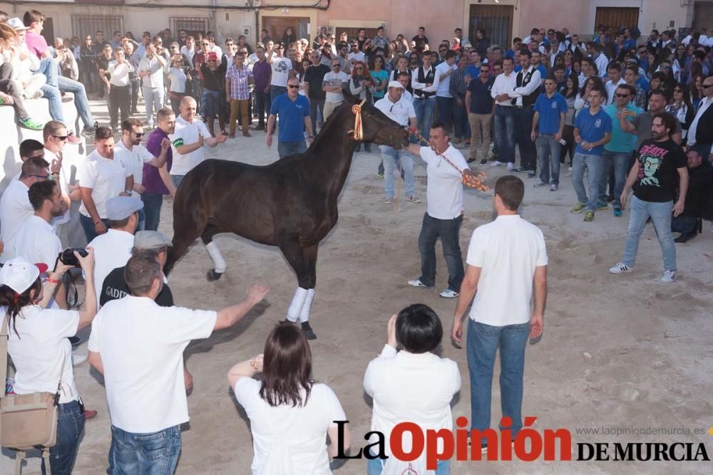 Día uno de mayo, entrada de caballos al Hoyo