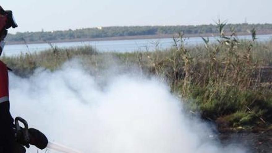 Los cuatro incendios tuvieron lugar al norte de la laguna de la Mata  separados entre sí unos 200 metros.