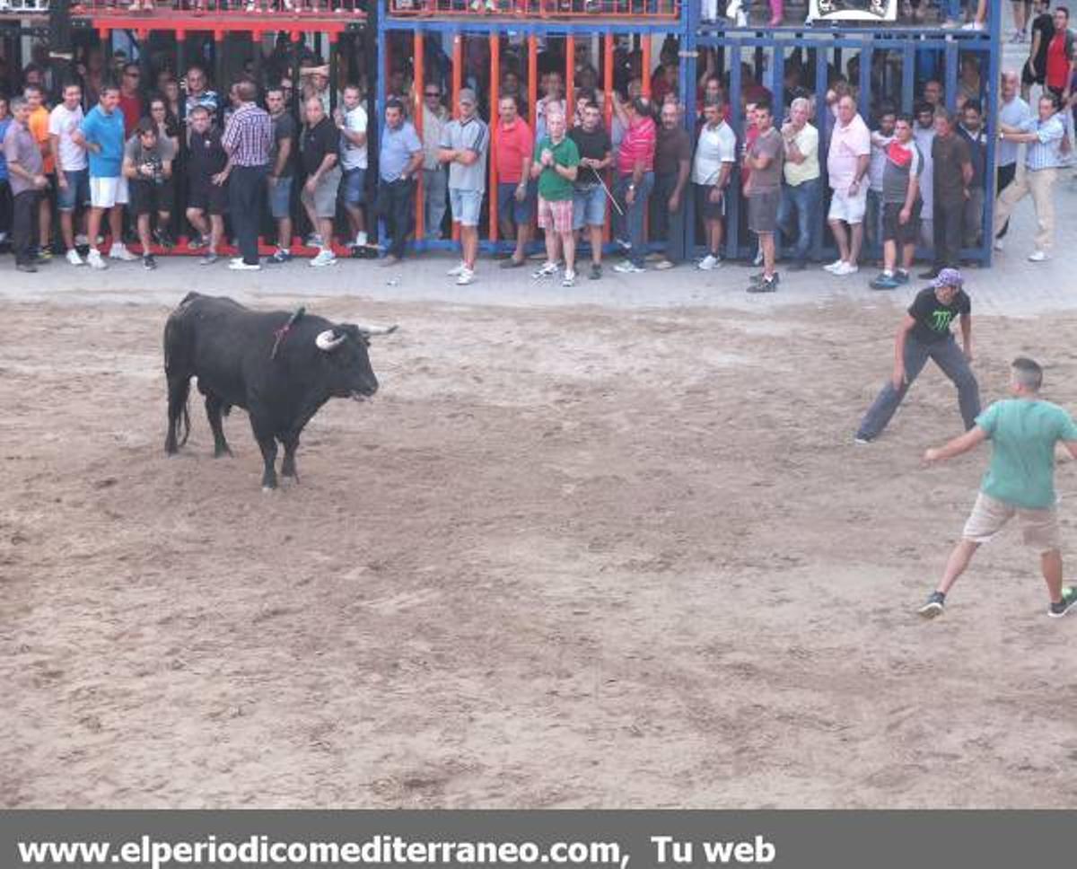 GALERÍA DE FOTOS - Fiestas de la Soledat en Nules