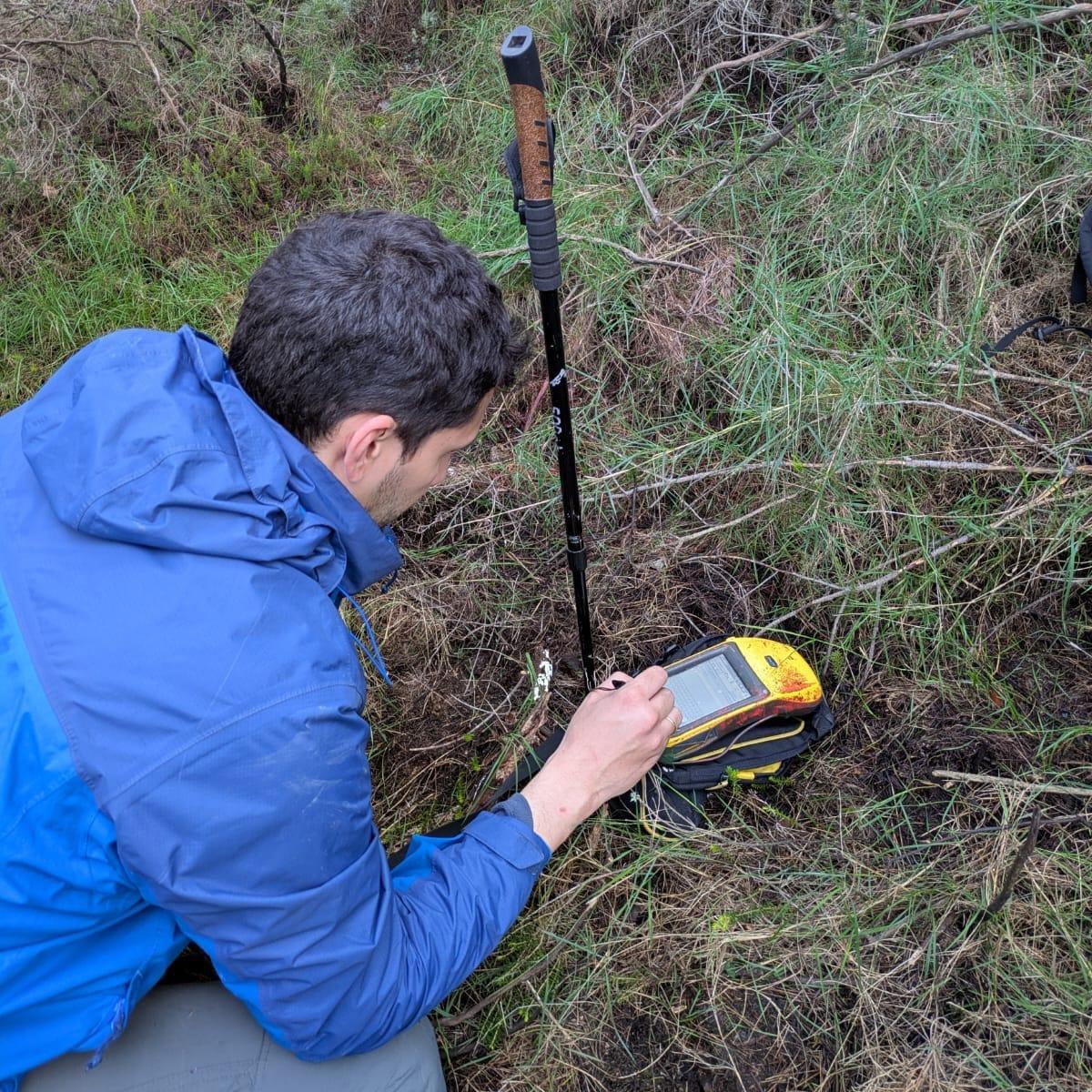 Los trabajos de campo han empezado esta semana.