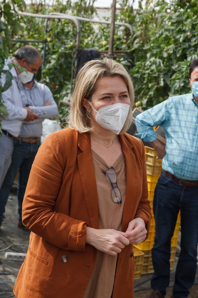 Alicia Vanoostende visita los tomateros de La Aldea