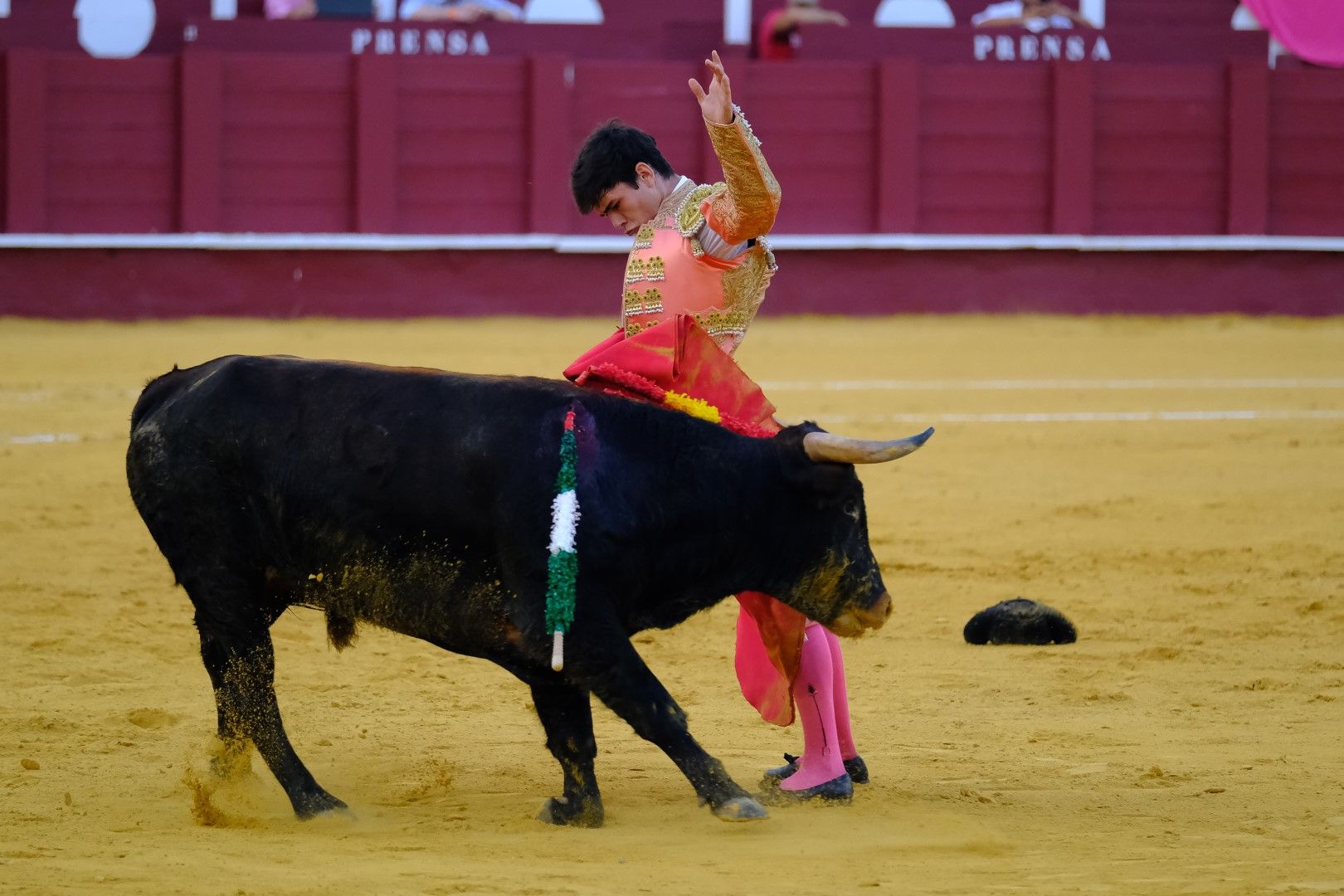 XVI Certamen Internacional de Escuelas Taurinas La Malagueta