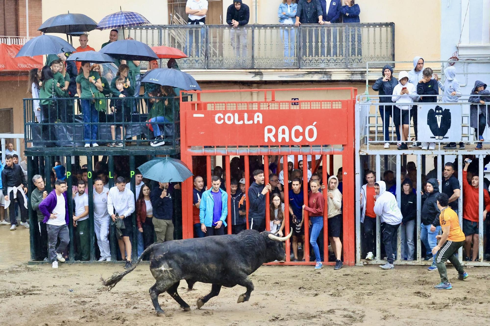Galería de fotos de la penúltima tarde de toros de las fiestas del Roser en Almassora