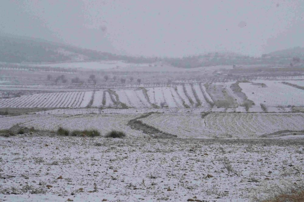 Nieve en Coy, Lorca