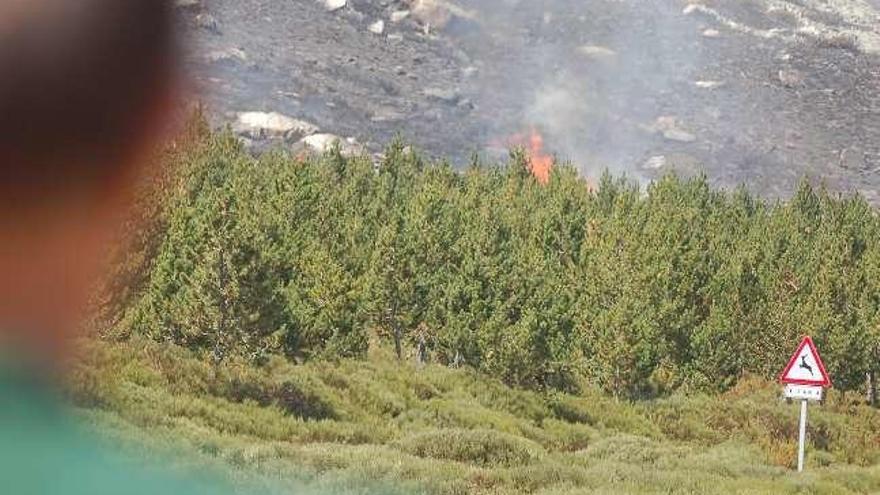 Personal de los retenes de extinción y medios aéreos vigilan la zona de Escuredo y combaten los brotes de las llamas en una zona repoblada de pinos.